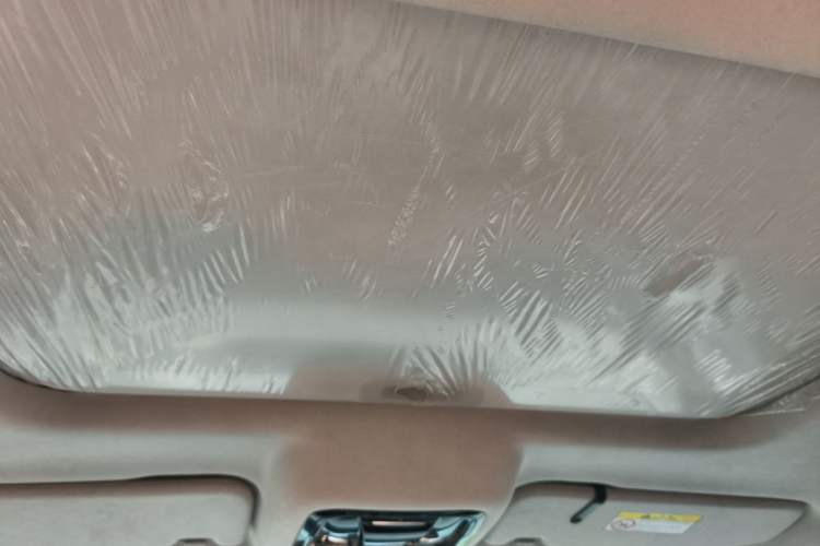 Used Cyberspace Tank 300 2021 2.0T Cyber Tank Headliner
