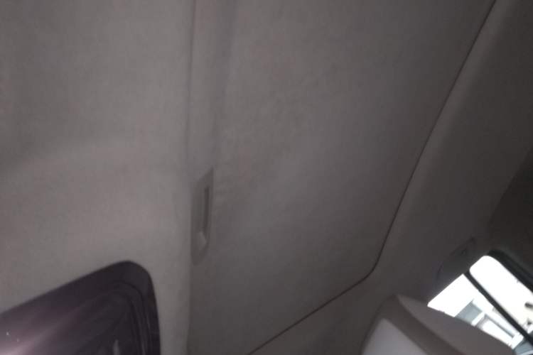 Used Cyberspace Tank 300 2021 2.0T Cyber Tank Headliner