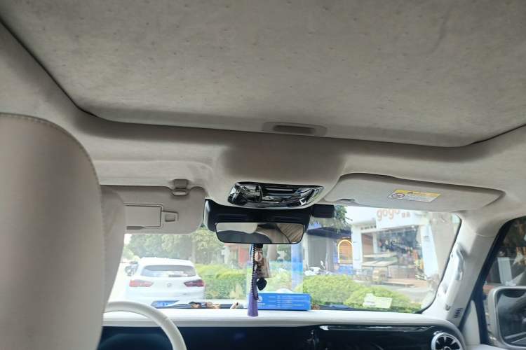 Used Cyberspace Tank 300 2021 2.0T Cyber Tank Headliner