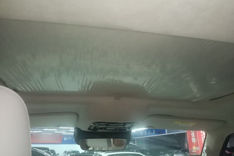 Used Cyberspace Tank 300 2021 2.0T Cyber Tank Headliner