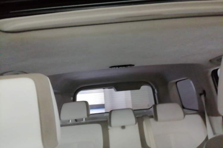 Used Cyberspace Tank 300 2021 2.0T Cyber Tank Headliner