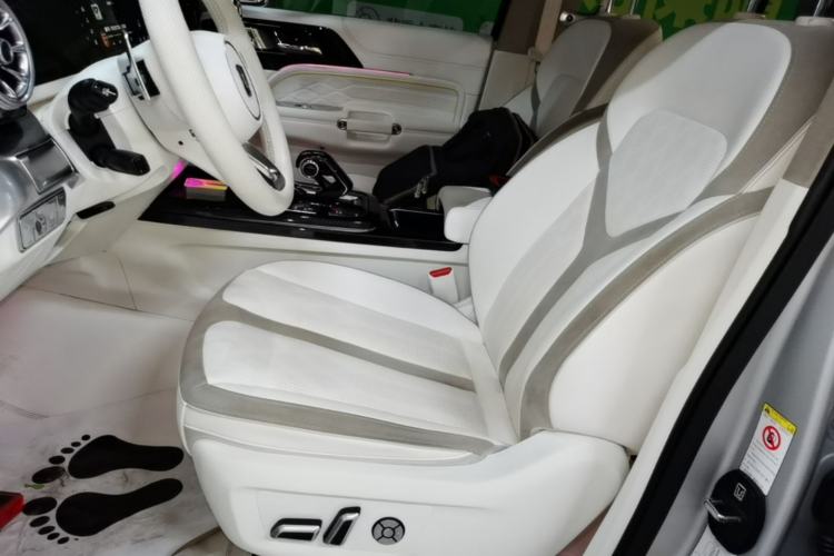 Used Cyberspace Tank 300 2021 2.0T Cyber Tank Left Front Seat