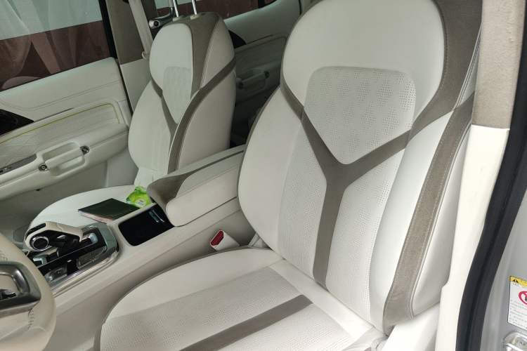 Used Cyberspace Tank 300 2021 2.0T Cyber Tank Left Front Seat
