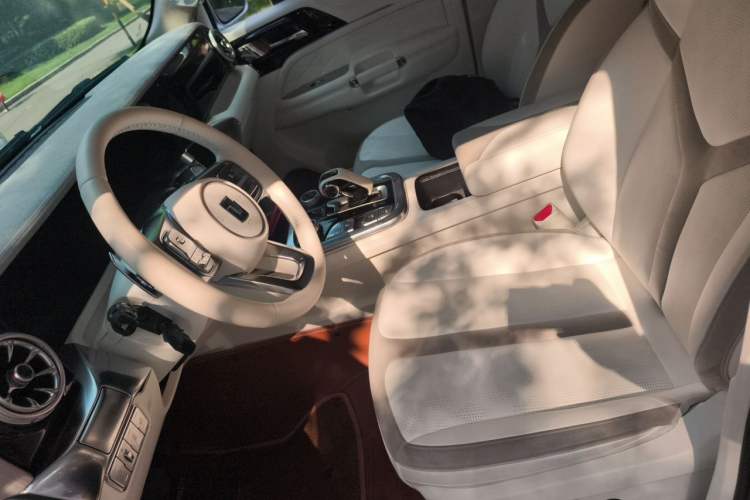 Used Cyberspace Tank 300 2021 2.0T Cyber Tank Left Front Seat