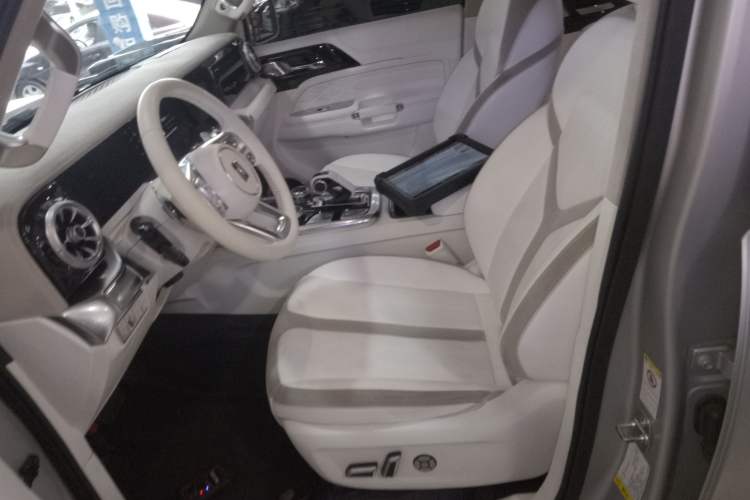 Used Cyberspace Tank 300 2021 2.0T Cyber Tank Left Front Seat