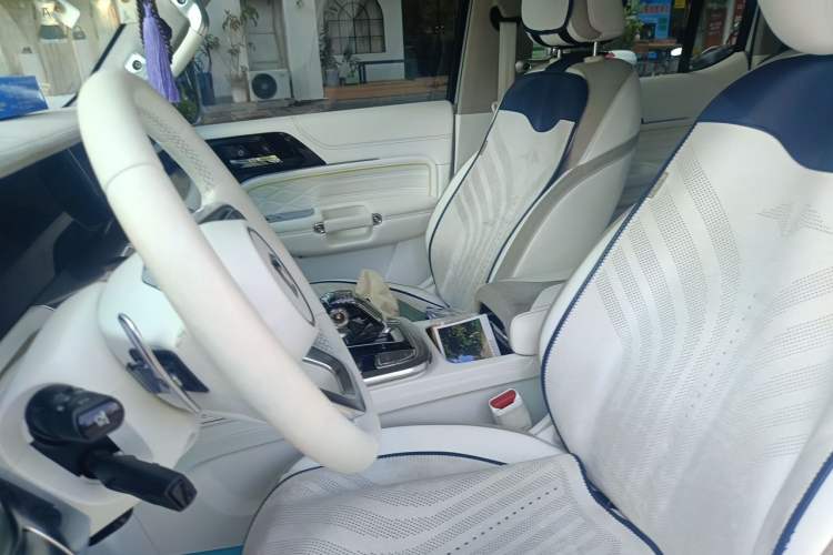 Used Cyberspace Tank 300 2021 2.0T Cyber Tank Left Front Seat