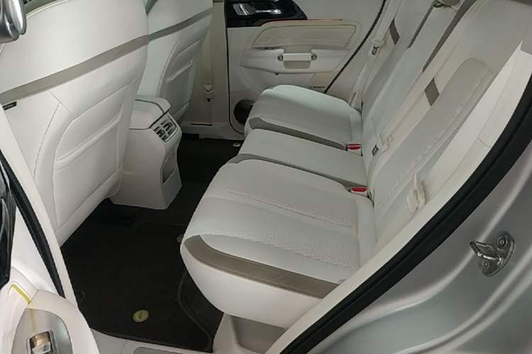 Used Cyberspace Tank 300 2021 2.0T Cyber Tank Left Rear Seat