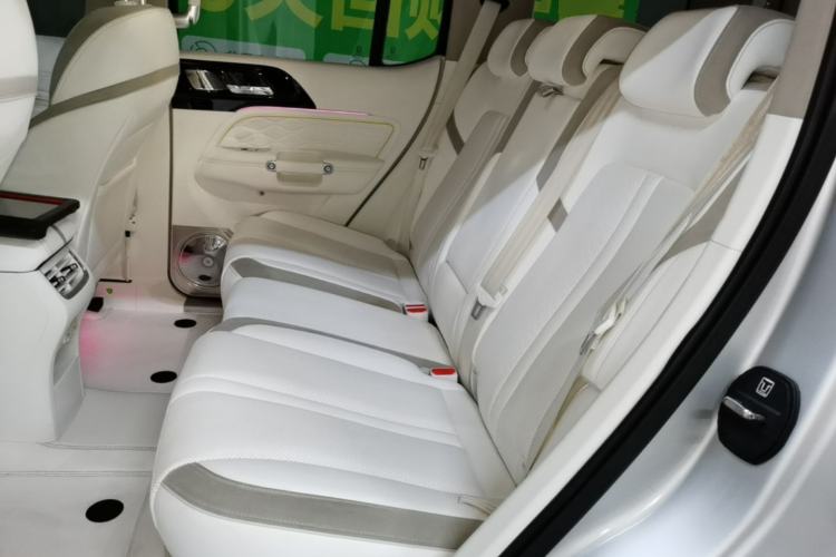 Used Cyberspace Tank 300 2021 2.0T Cyber Tank Left Rear Seat