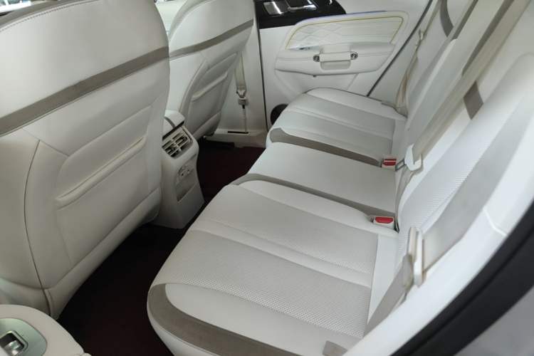 Used Cyberspace Tank 300 2021 2.0T Cyber Tank Left Rear Seat