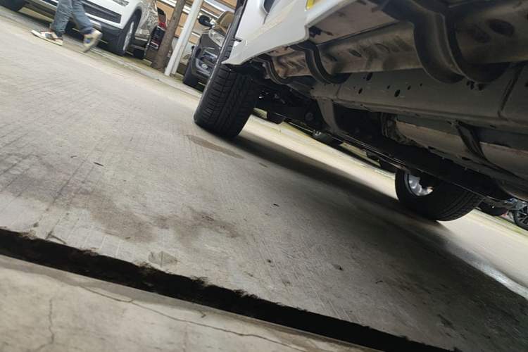 Used Cyberspace Tank 300 2021 2.0T Cyber Tank Left Side Sill