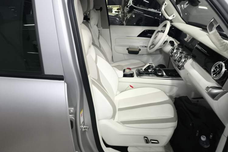 Used Cyberspace Tank 300 2021 2.0T Cyber Tank Right Front Seat