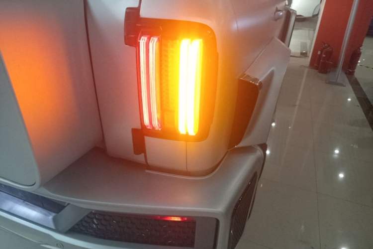 Used Cyberspace Tank 300 2021 2.0T Cyber Tank Right Rear Taillight