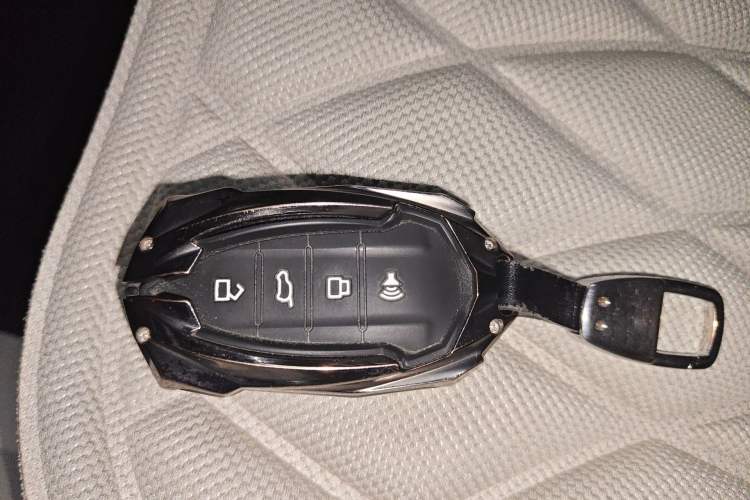 Used Cyberspace Tank 300 2021 2.0T Cyber Tank Vehicle Key