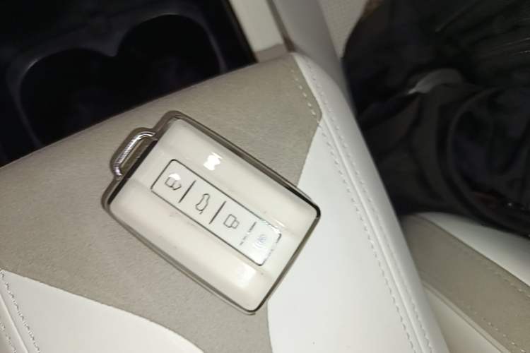Used Cyberspace Tank 300 2021 2.0T Cyber Tank Vehicle Key