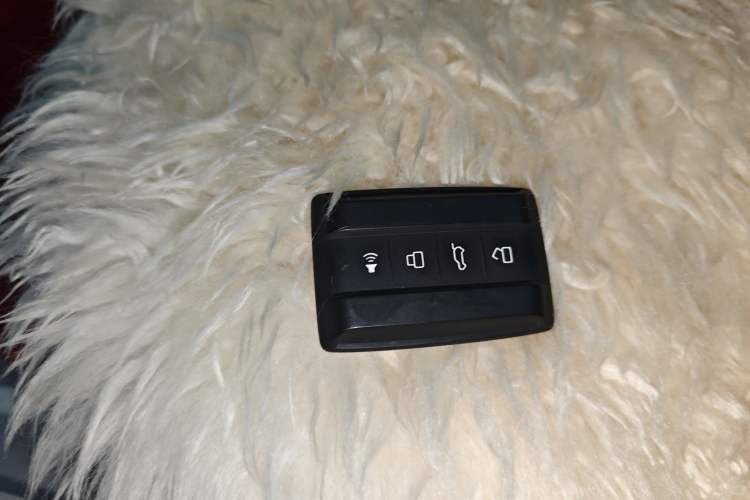 Used Cyberspace Tank 300 2021 2.0T Cyber Tank Vehicle Key