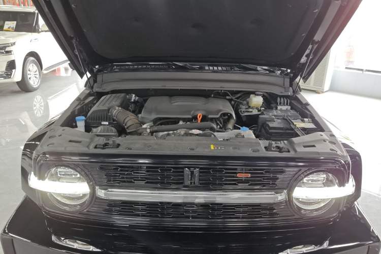 Used Cyberspace Tank 300 2023 2.0T Cyber Knight Engine Bay