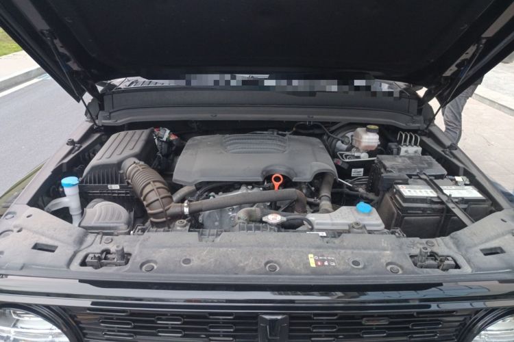 Used Cyberspace Tank 300 2023 2.0T Cyber Knight Engine Bay