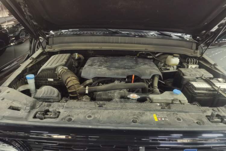 Used Cyberspace Tank 300 2023 2.0T Cyber Knight Engine Bay