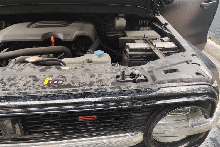 Used Cyberspace Tank 300 2023 2.0T Cyber Knight Engine Bay Left