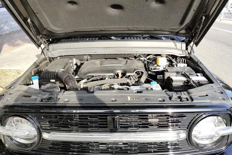 Used Cyberspace Tank 300 2023 2.0T Cyber Knight Engine Bay