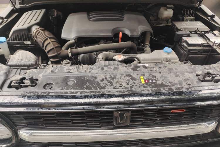 Used Cyberspace Tank 300 2023 2.0T Cyber Knight Engine Bay