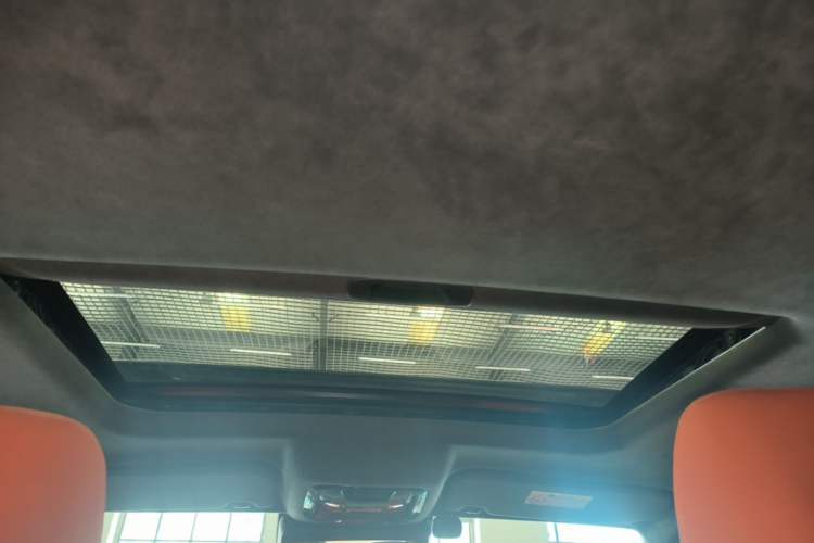 Used Cyberspace Tank 300 2023 2.0T Cyber Knight Headliner