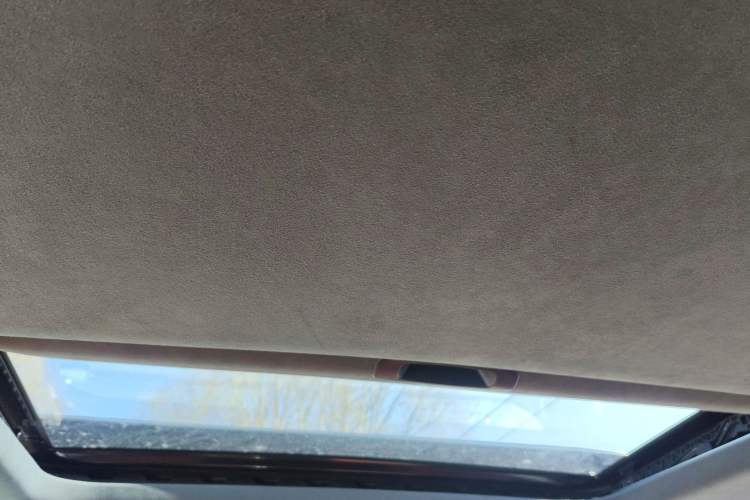 Used Cyberspace Tank 300 2023 2.0T Cyber Knight Headliner