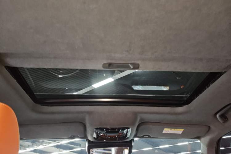 Used Cyberspace Tank 300 2023 2.0T Cyber Knight Headliner