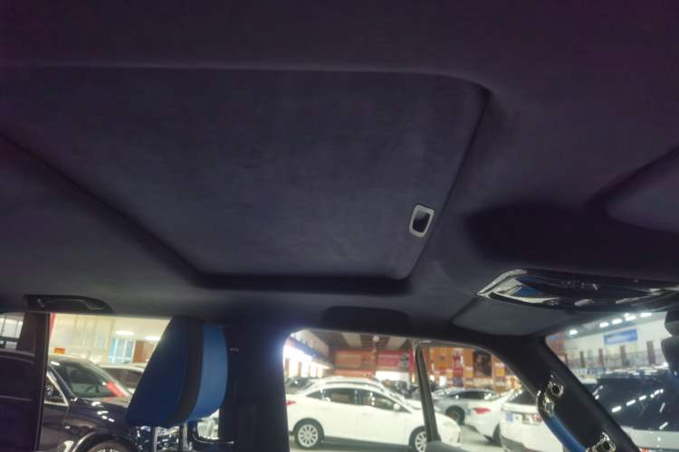 Used Cyberspace Tank 300 2023 2.0T Cyber Knight Headliner