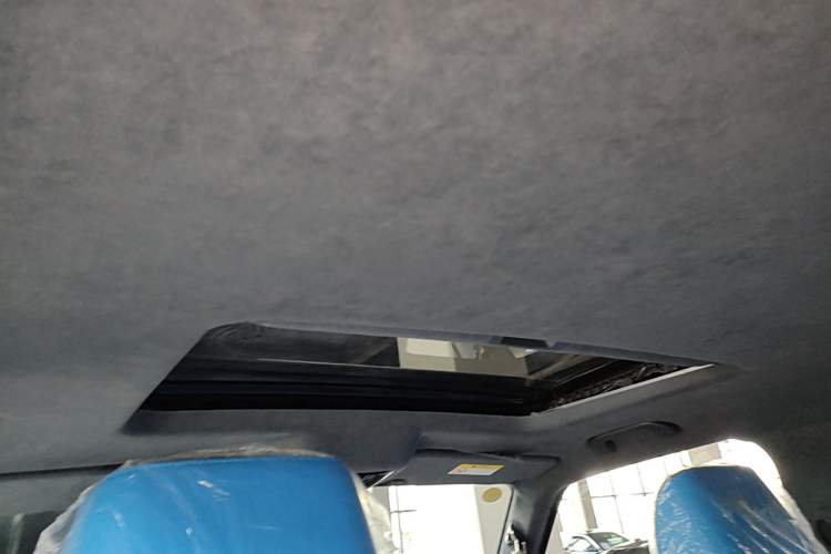 Used Cyberspace Tank 300 2023 2.0T Cyber Knight Headliner