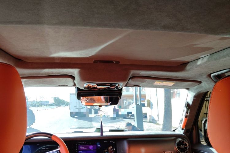 Used Cyberspace Tank 300 2023 2.0T Cyber Knight Headliner