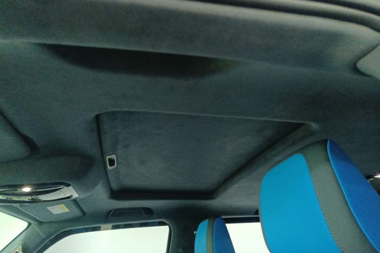 Used Cyberspace Tank 300 2023 2.0T Cyber Knight Headliner