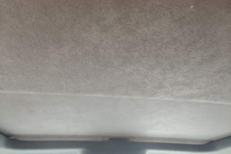 Used Cyberspace Tank 300 2023 2.0T Cyber Knight Headliner