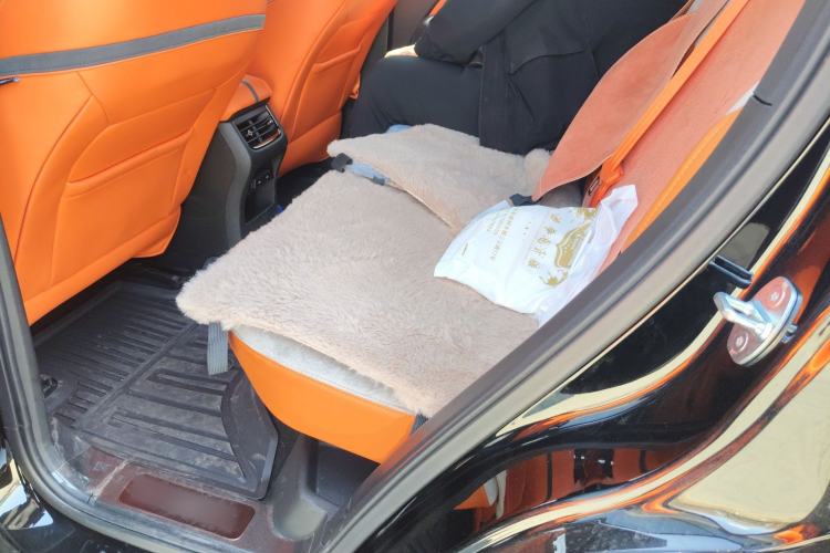 Used Cyberspace Tank 300 2023 2.0T Cyber Knight Left Rear Seat