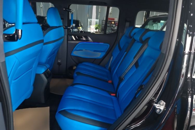 Used Cyberspace Tank 300 2023 2.0T Cyber Knight Left Rear Seat