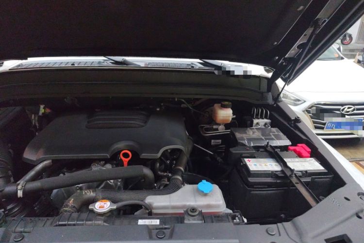 Used Cyberspace Tank 300 2023 2.0T Cyber Knight Engine Bay Left