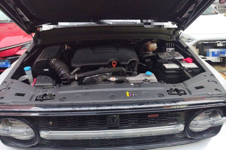 Used Cyberspace Tank 300 2023 2.0T Cyber Knight Engine Bay