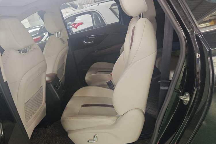 Used Dayun Yuanzhi M1 2020 VIP Edition Left Rear Seat
