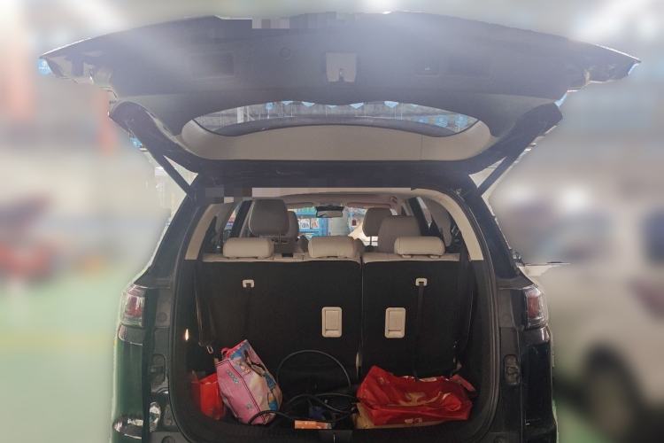 Used Dayun Yuanzhi M1 2020 VIP Edition Trunk