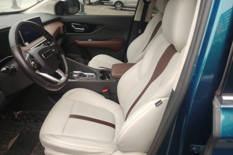 Used Dayun Yuanzhi M1 2020 VIP Edition Left Front Seat