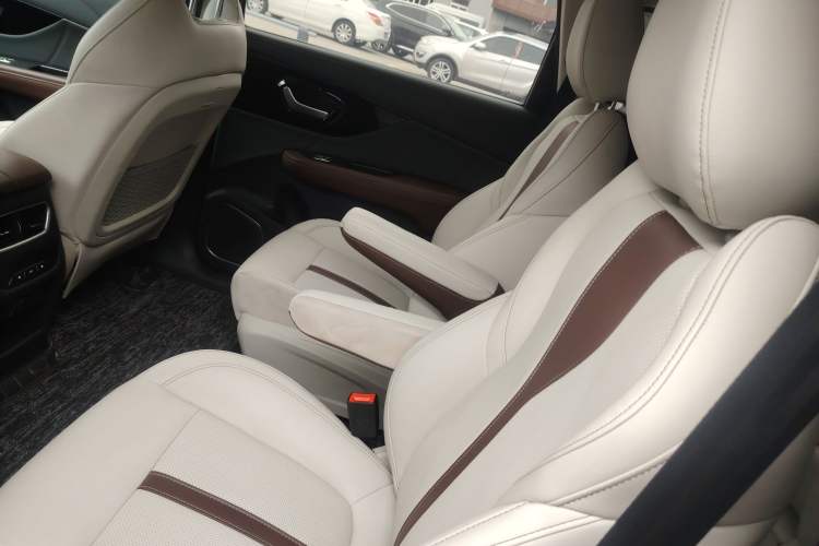 Used Dayun Yuanzhi M1 2020 VIP Edition Left Rear Seat