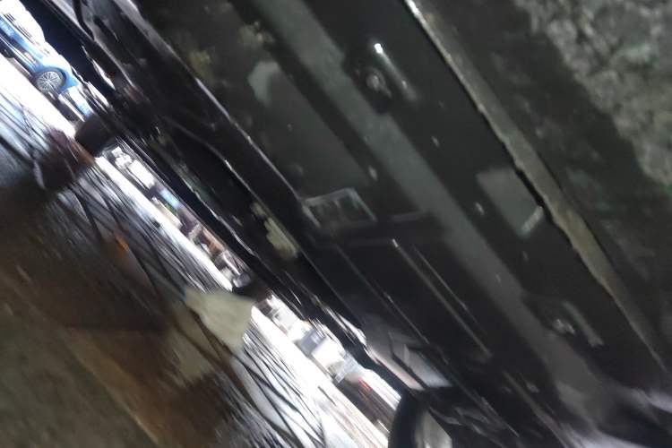 Used Dayun Yuanzhi M1 2022 4-Seater 450 First-Class Seats Chassis Front