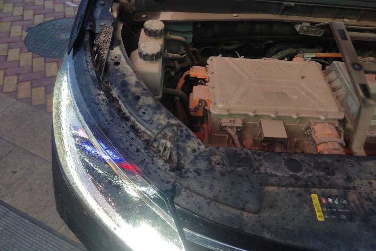 Used Dayun Yuanzhi M1 2022 4-Seater 450 First-Class Seats Engine Bay Right