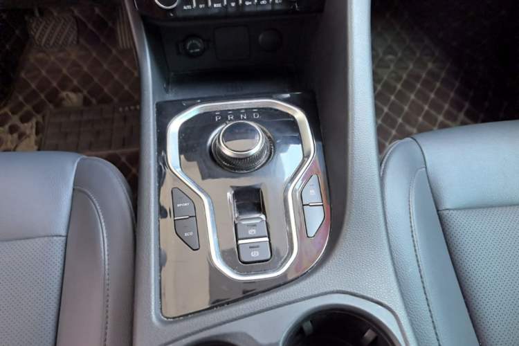 Used Dayun Yuanzhi M1 2022 7-Seater 450 Standard Edition Gear Lever