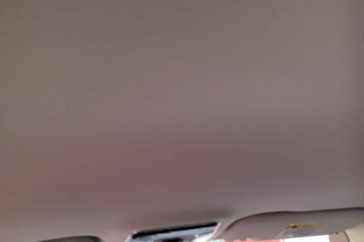 Used Dayun Yuanzhi M1 2022 7-Seater 450 Standard Edition Headliner