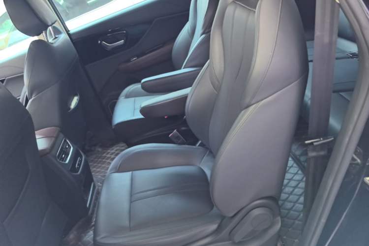 Used Dayun Yuanzhi M1 2022 7-Seater 450 Standard Edition Left Rear Seat