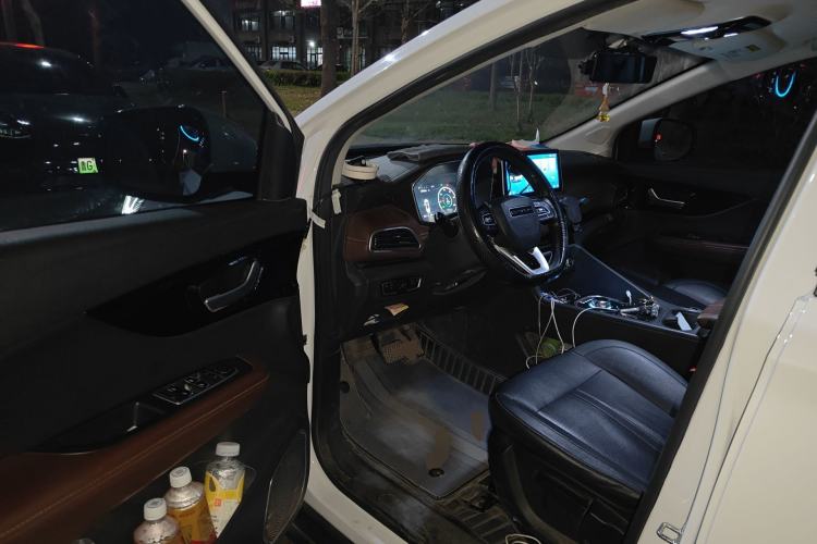 Used Dayun Yuanzhi M1 2022 5-Seater 450 Elite Edition Driver Seat