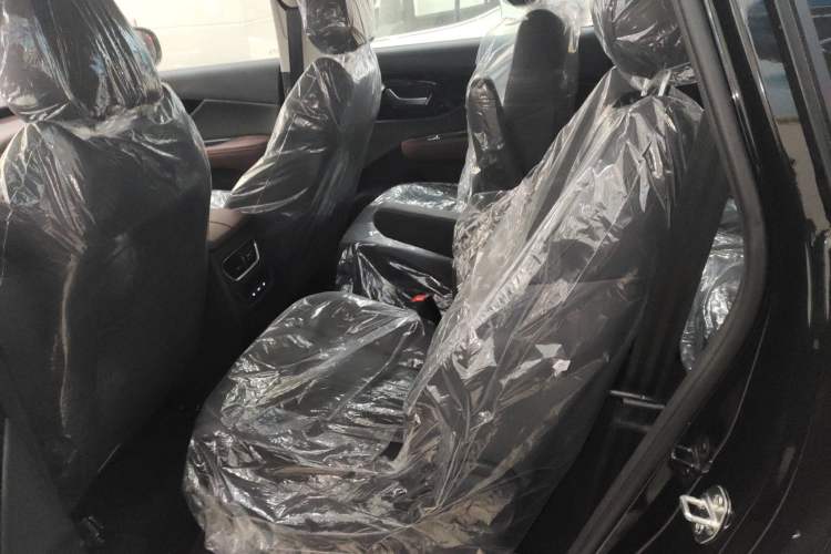Used Dayun Yuanzhi M1 2025 7-Seater 490 Standard Edition Left Rear Seat