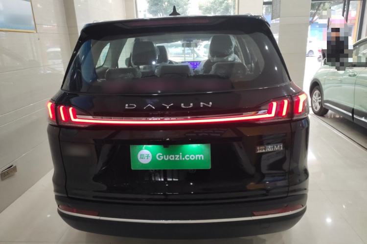 Used Dayun Yuanzhi M1 2025 7-Seater 490 Standard Edition Rear