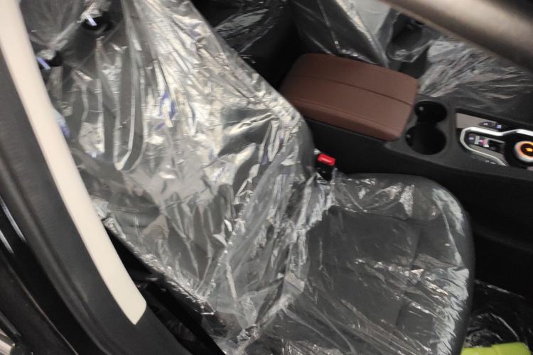 Used Dayun Yuanzhi M1 2025 7-Seater 490 Standard Edition Right Front Seat